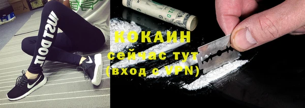 твердый Новозыбков