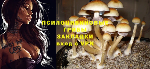первитин Новокубанск