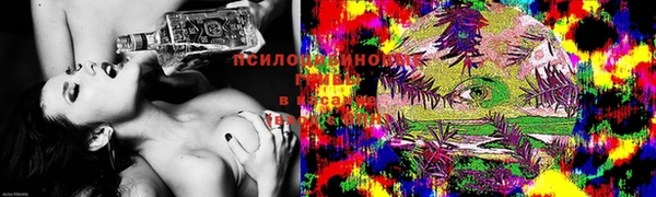 дурь Новодвинск