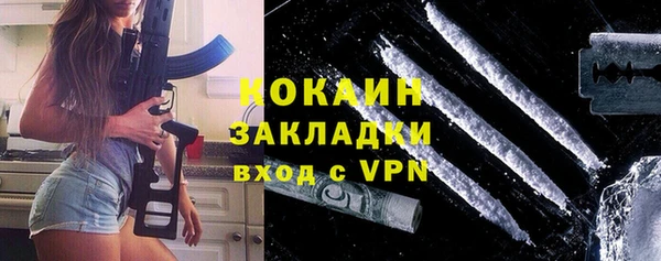 дурь Новодвинск