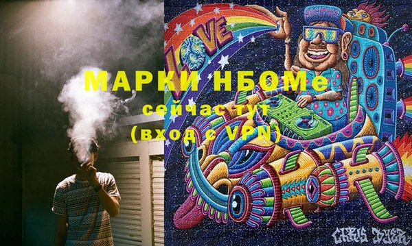 твердый Новозыбков