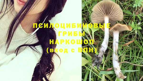 дурь Новодвинск