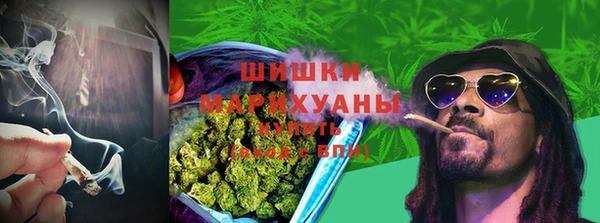 твердый Новозыбков