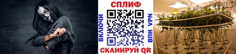 Бошки Шишки марихуана  Тетюши 